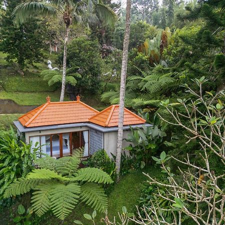 Tjendana Kanaka Jungle Resort Ubud Exteriör bild